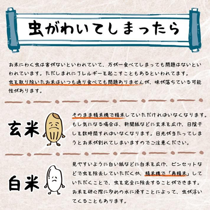 米 新潟県 コシヒカリ 令和7年 5kg 新潟県天水田 コシヒカリ 白米5kg （5kg×1）天然雪解け水と湧き水で育てた 棚田米 ｜ | コシヒカリ | 13