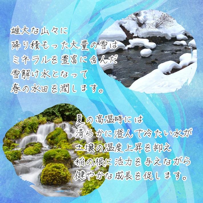 米 新潟県 コシヒカリ 令和7年 5kg 新潟県天水田 コシヒカリ 白米5kg （5kg×1）天然雪解け水と湧き水で育てた 棚田米 ｜ | コシヒカリ | 03