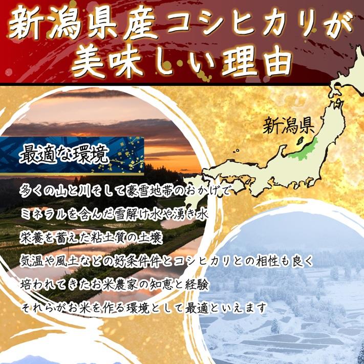 米 新潟県 コシヒカリ 令和7年 5kg 新潟県天水田 コシヒカリ 白米5kg （5kg×1）天然雪解け水と湧き水で育てた 棚田米 ｜ | コシヒカリ | 05