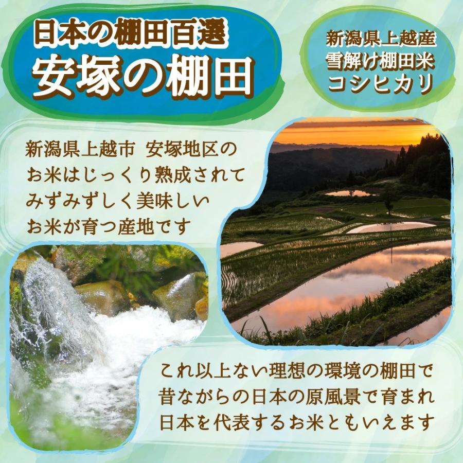コシヒカリ 米 令和6年 お米 10kg 新潟県安塚産棚田米 玄米10kg コシヒカリ 米 令和6年 お米 10kg 新潟県安塚産棚田米 玄米10kg