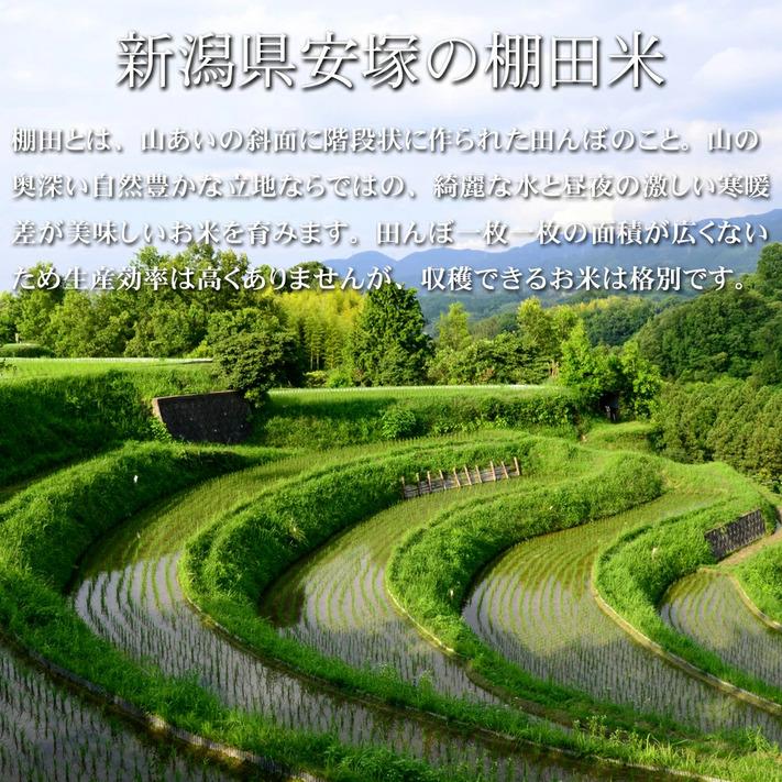 新米 令和 米 お米  コシヒカリ 新潟県安塚産棚田米 コシヒカリ