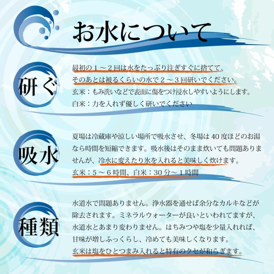 米 令和5年 お米 20kg コシヒカリ 新潟県安塚産棚田米 コシヒカリ 玄米20kg 精米無料 ｜入荷待ち8/9迄に出荷予定｜komenouka｜17