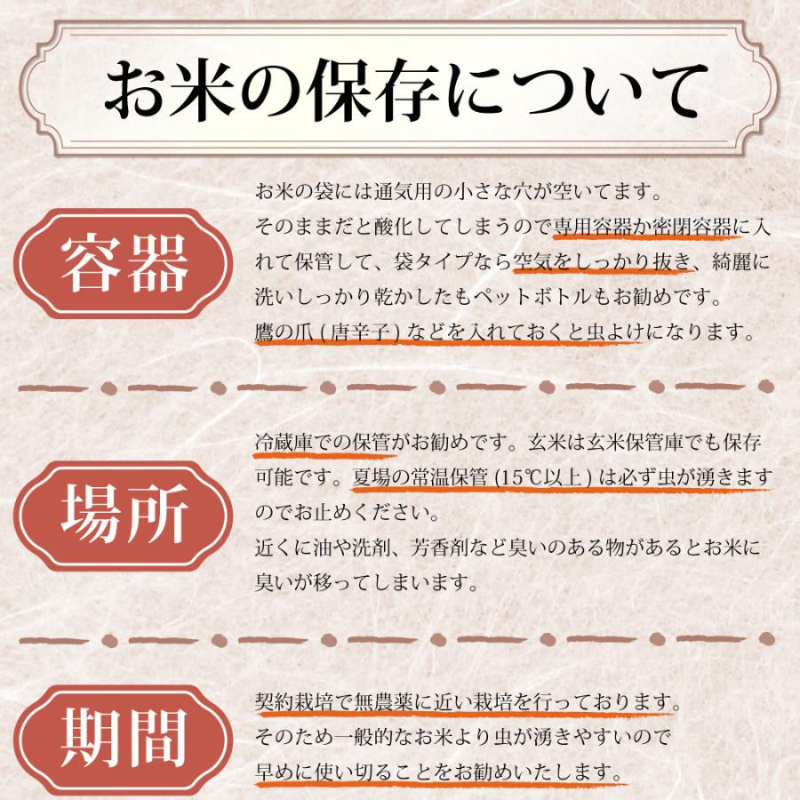 米 新潟県産 コシヒカリ 令和7年 20kg 新潟県安塚産棚田米 コシヒカリ 玄米20kg 令和7年産 新潟県産コシヒカリ ｜ | コシヒカリ | 18