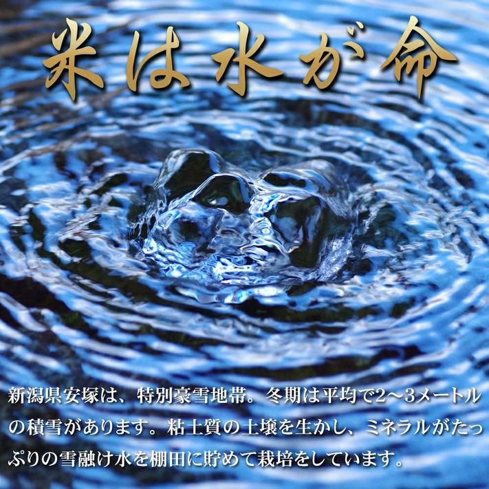 米 令和5年 お米 30kg コシヒカリ 新潟県安塚産棚田米 コシヒカリ 玄米30kg ｜ 玄米 米 お米　新潟県産コシヒカリ 30kg｜komenouka｜08