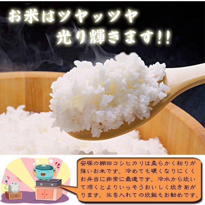激安人気新品 新米・令和3年産玄米新潟コシヒカリ30kg(10kg×3)精米無料☆農家直送17 - 米 - labelians.fr 激安人気新品 新米・令和3年産玄米新潟コシヒカリ30kg(10kg×3)精米無料☆農家直送17 - 米 - labelians.fr