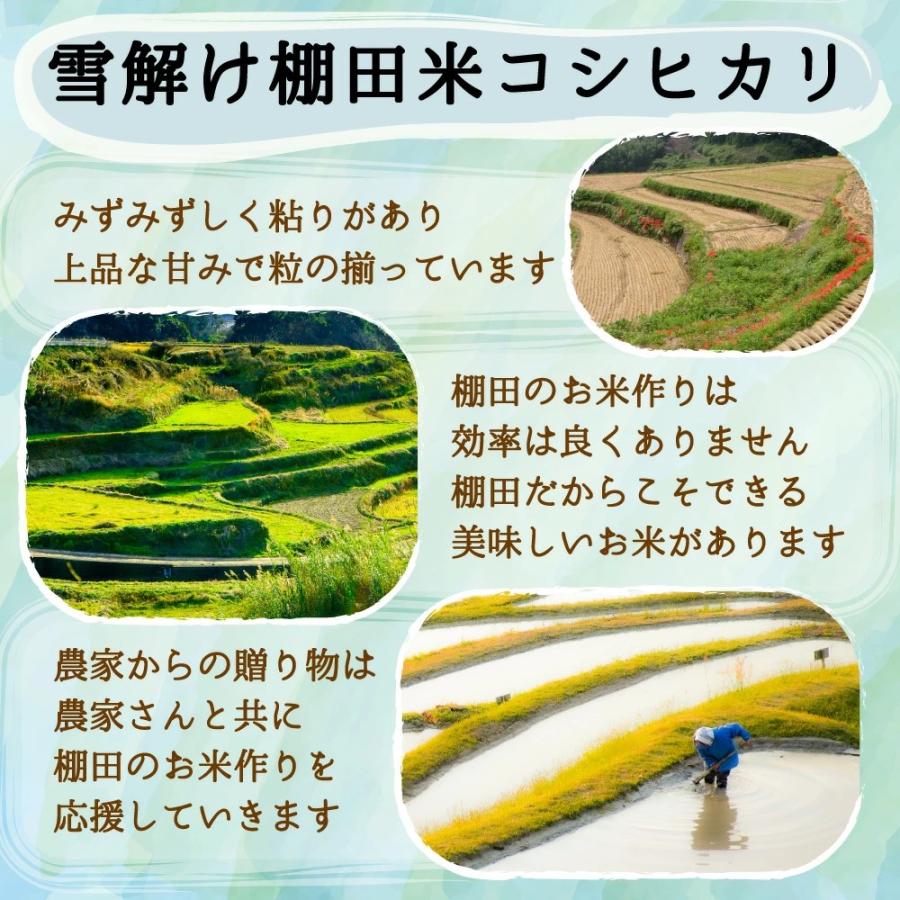コシヒカリ 【在庫僅かのため販売制限中】米 令和6年 お米 30kg コシヒカリ 【在庫僅かのため販売制限中】米 令和6年 お米 30kg