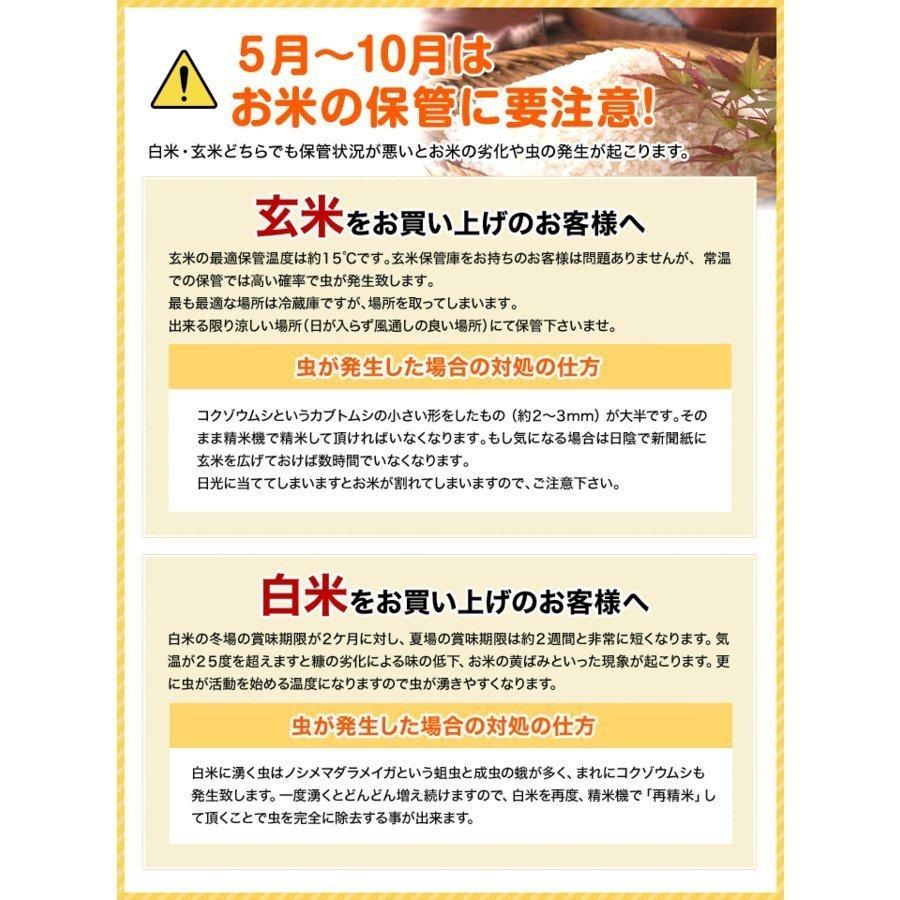 米 令和5年 お米 30kg コシヒカリ 新潟県安塚産棚田米 コシヒカリ 玄米30kg ｜ 玄米 米 お米　新潟県産コシヒカリ 30kg｜komenouka｜20