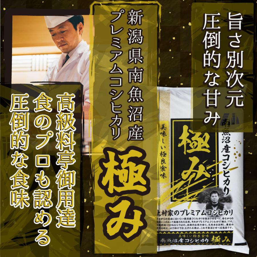 コシヒカリ 米 令和6年 お米 新潟県南魚沼しおざわ産プレミアム コシヒカリ 米 令和6年 お米 新潟県南魚沼しおざわ産プレミアム