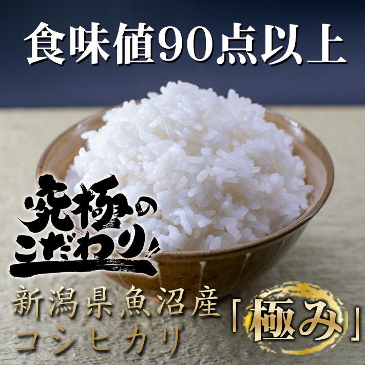 コシヒカリ 米 令和6年 お米 新潟県南魚沼しおざわ産プレミアム コシヒカリ 米 令和6年 お米 新潟県南魚沼しおざわ産プレミアム