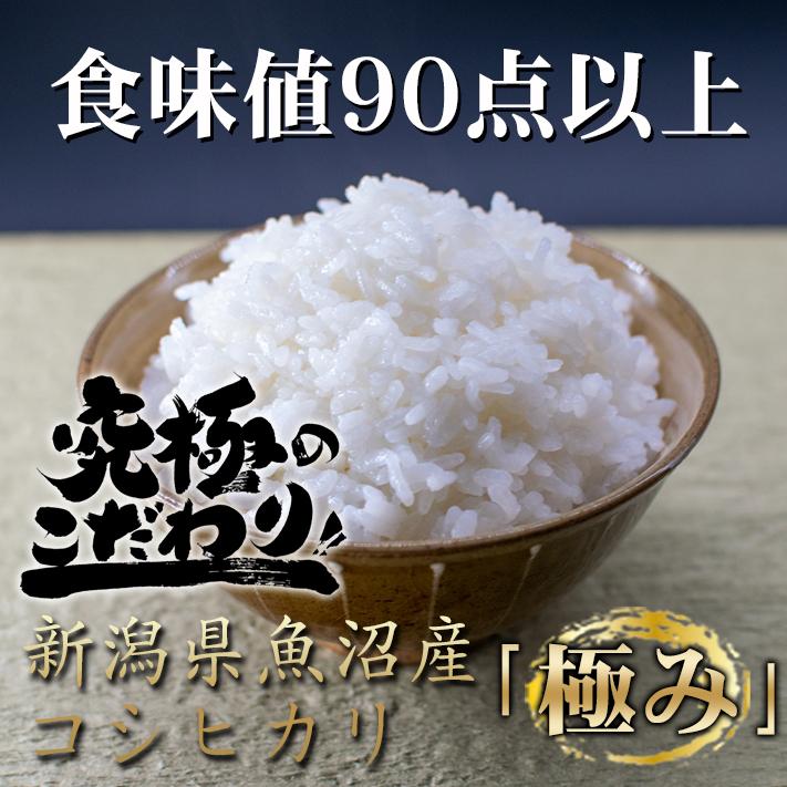 新米新潟産令和四年産従来コシヒカリ精米30キロちょっと訳あり