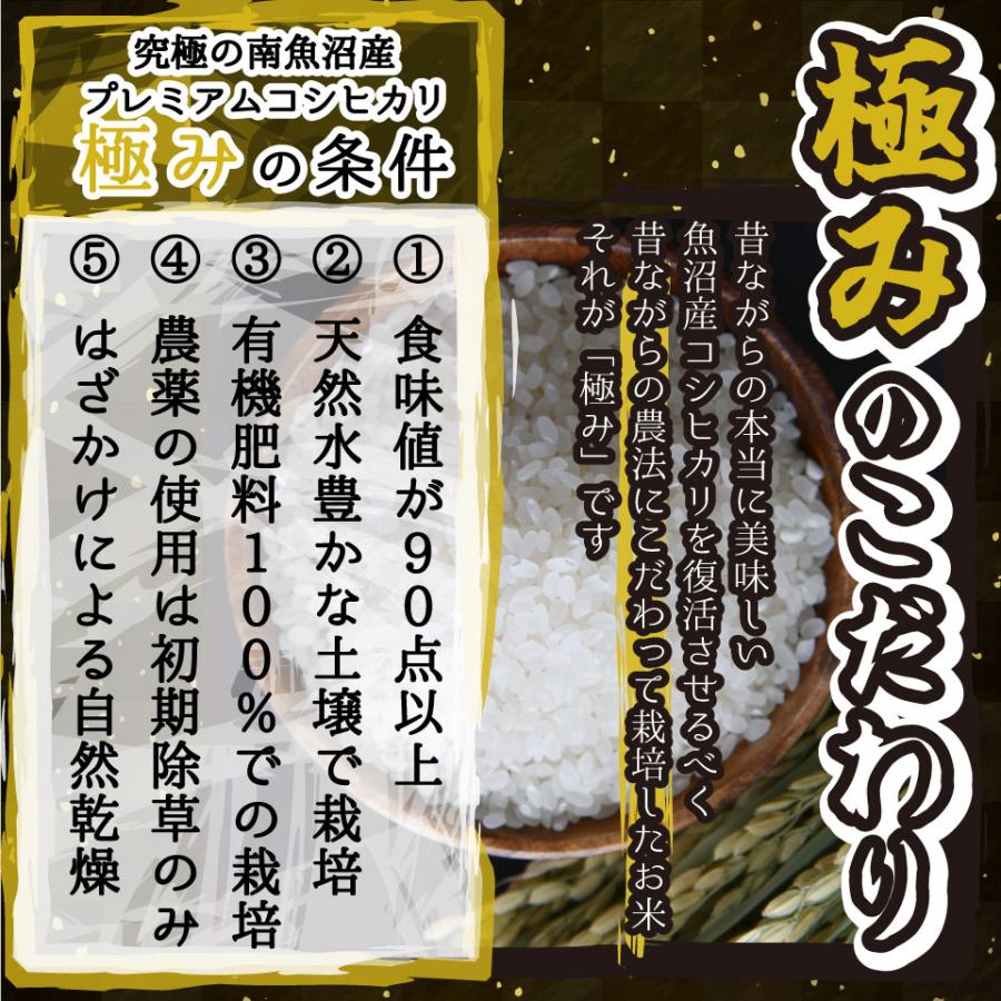 コシヒカリ 米 令和6年 お米 新潟県南魚沼しおざわ産プレミアム コシヒカリ 米 令和6年 お米 新潟県南魚沼しおざわ産プレミアム