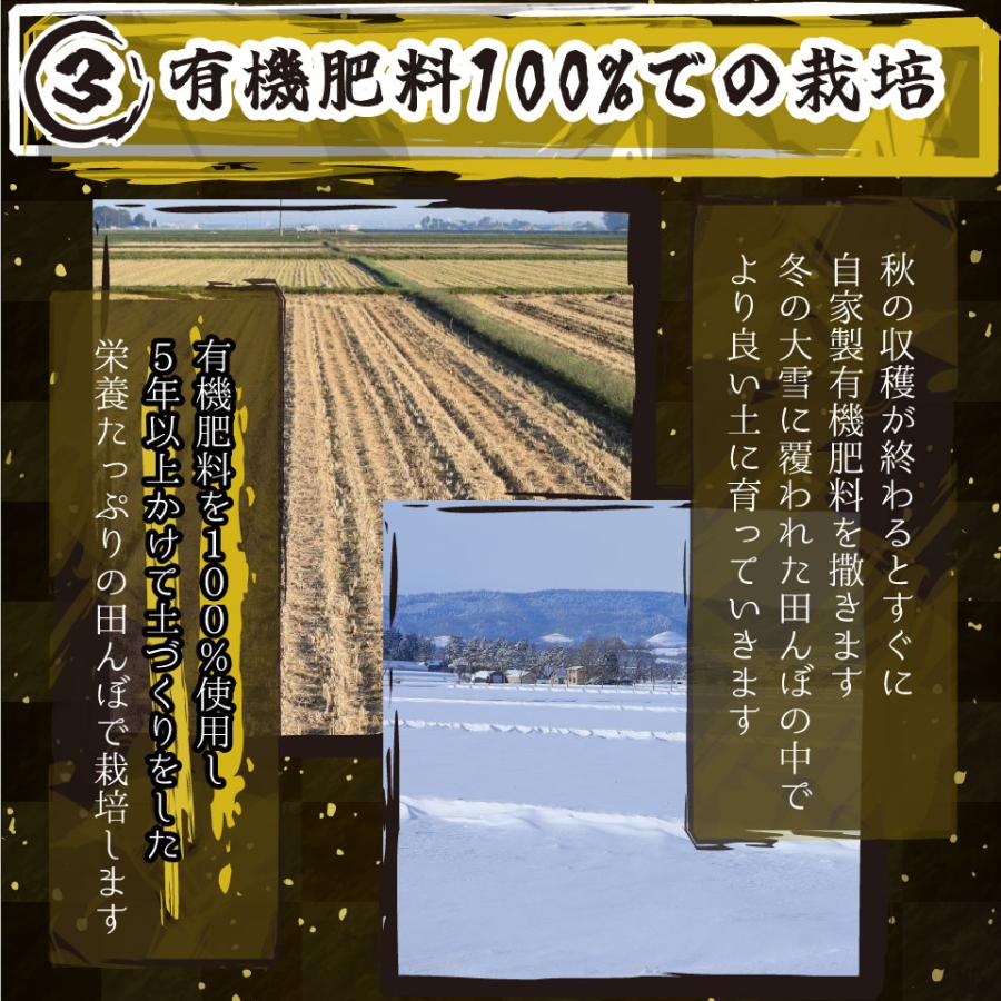 コシヒカリ 米 令和6年 お米 新潟県南魚沼しおざわ産プレミアム コシヒカリ 米 令和6年 お米 新潟県南魚沼しおざわ産プレミアム