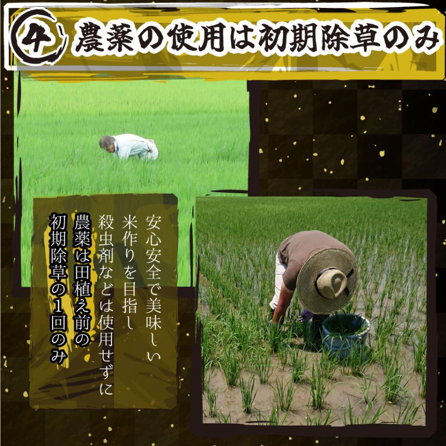 コシヒカリ 米 令和6年 お米 新潟県南魚沼しおざわ産プレミアム コシヒカリ 米 令和6年 お米 新潟県南魚沼しおざわ産プレミアム