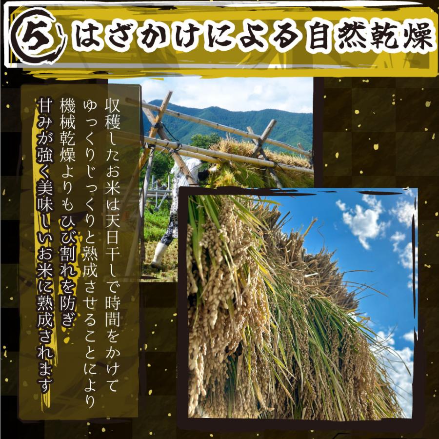 コシヒカリ 米 令和6年 お米 新潟県南魚沼しおざわ産プレミアム コシヒカリ 米 令和6年 お米 新潟県南魚沼しおざわ産プレミアム