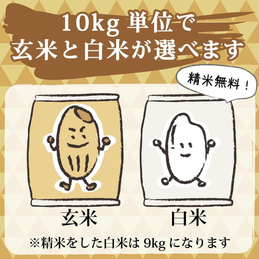 令和6年産　（天日干し＆標準米）魚沼産こしひかり 10kg 令和6年産】魚沼産 コシヒカリ 10kg 精米｜株式会社新潟農商の