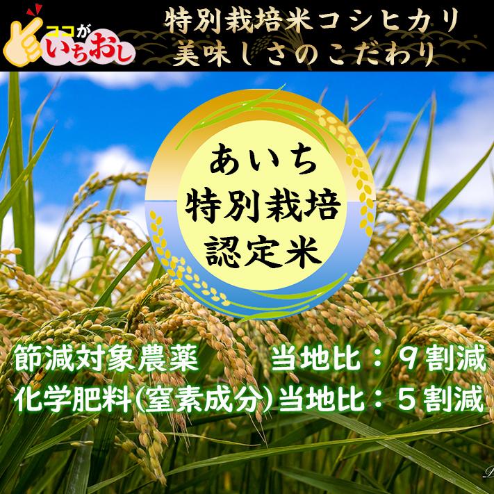 米 令和5年 お米 10kg 送料無料 農薬９割減特別栽培米 コシヒカリ 白米 10kg （5kg×2） 令和5年産  安心 安全 ｜ 米 おこめ お米 10kg 白米 送料無料｜komenouka｜06