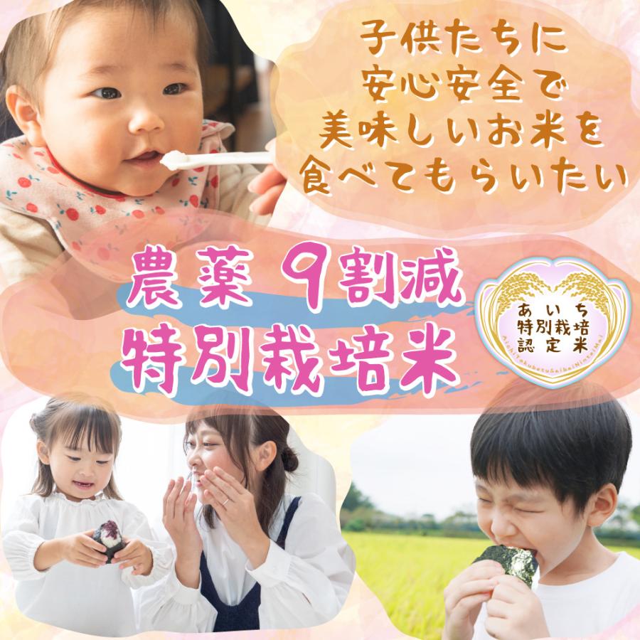 コシヒカリ 米 特別栽培 令和7年 農薬9割減特別栽培米 白米 5kg （5kg