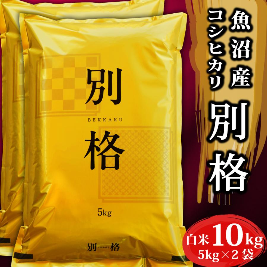 令和4年産棚田育ちのヒヨクモチ5kg 新米