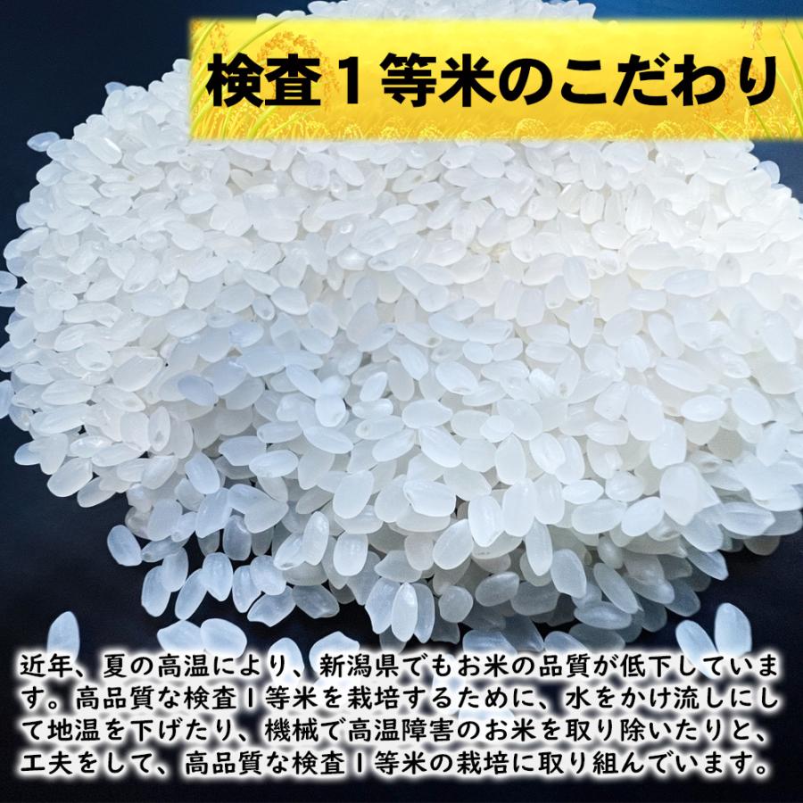 米 新潟魚沼産 コシヒカリ 令和7年産 お米 10kg 「別格」 白米10kg（5kg×2） 令和7年 有機質肥料栽培米 新潟県魚沼産コシヒカリ | コシヒカリ | 07