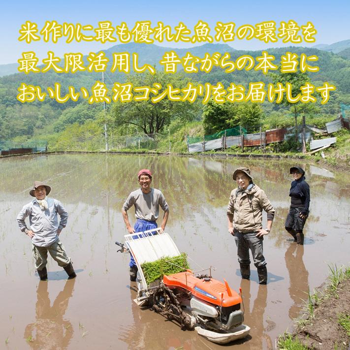 米 新潟魚沼産 コシヒカリ 令和7年産 お米 10kg 「別格」 白米10kg（5kg×2） 令和7年 有機質肥料栽培米 新潟県魚沼産コシヒカリ | コシヒカリ | 04