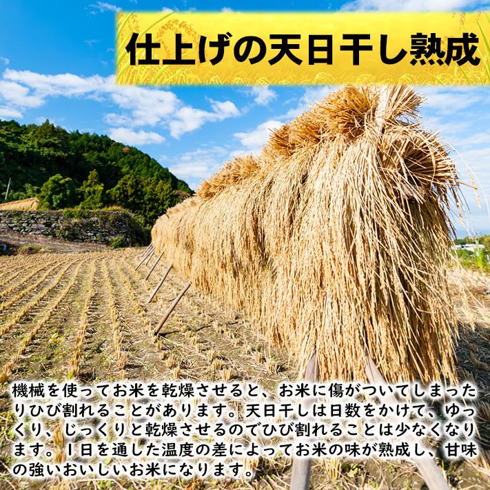 米 新潟魚沼産 コシヒカリ 令和7年産 お米 10kg 「別格」 白米10kg（5kg×2） 令和7年 有機質肥料栽培米 新潟県魚沼産コシヒカリ | コシヒカリ | 08