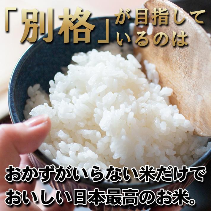 コシヒカリ 米 新潟魚沼産 令和7年産 お米 10kg 「別格」 白米10kg