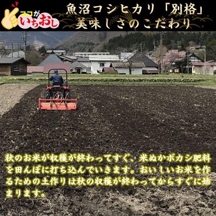 米 令和5年 お米 10kg 新潟県魚沼産コシヒカリ 「別格」 白米10kg（5kg×2） 令和５年産米 有機質肥料栽培米 ｜ 米 おこめ お米 10kg 白米｜komenouka｜14