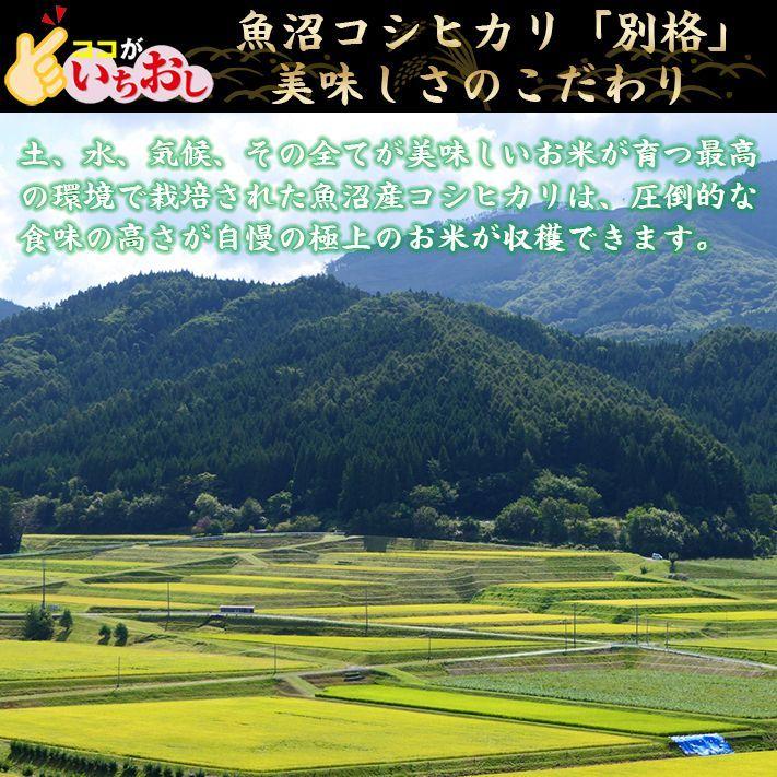 米 令和5年 お米 10kg 新潟県魚沼産コシヒカリ 「別格」 白米10kg（5kg×2） 令和５年産米 有機質肥料栽培米 ｜ 米 おこめ お米 10kg 白米｜komenouka｜17