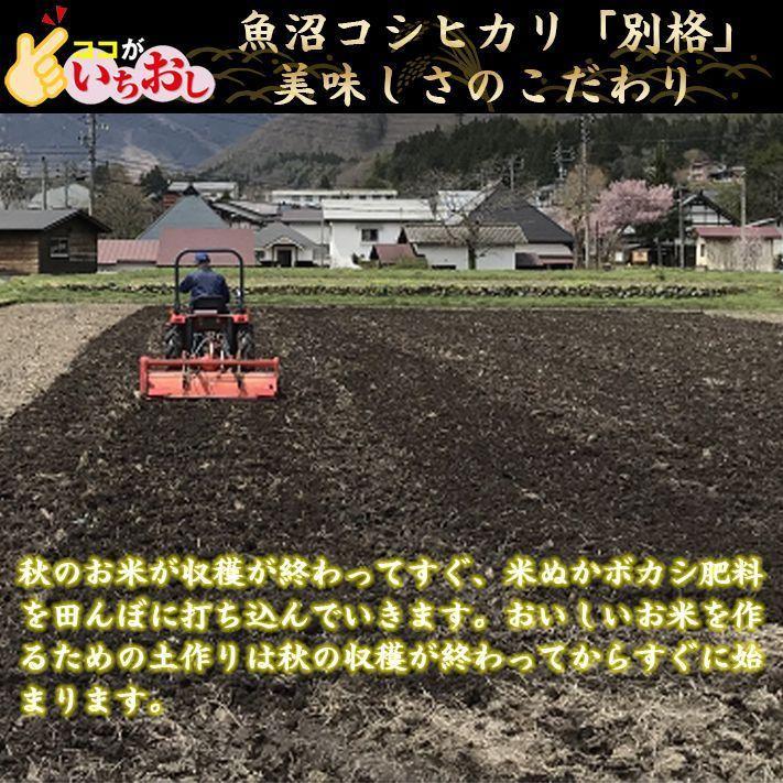 米 令和5年 お米 5kg 新潟県魚沼産コシヒカリ 「別格」 白米5kg（5kg×1） 令和５年産米 有機質肥料栽培米｜komenouka｜14