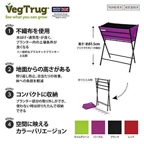 ほぼ未使用 タカショー(Takasho) ベジトラグ ポピー 3ステップス ライムグリーン 【U2226544216】(11802円)