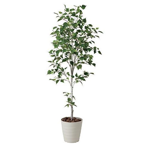 光触媒 人工観葉植物 光の楽園 白樺シングル1.8m 421A300 