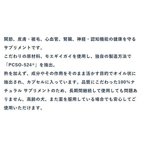新作マット・カーペット 犬用アンチノール 60粒 2箱 【O3298730549】(17486円)