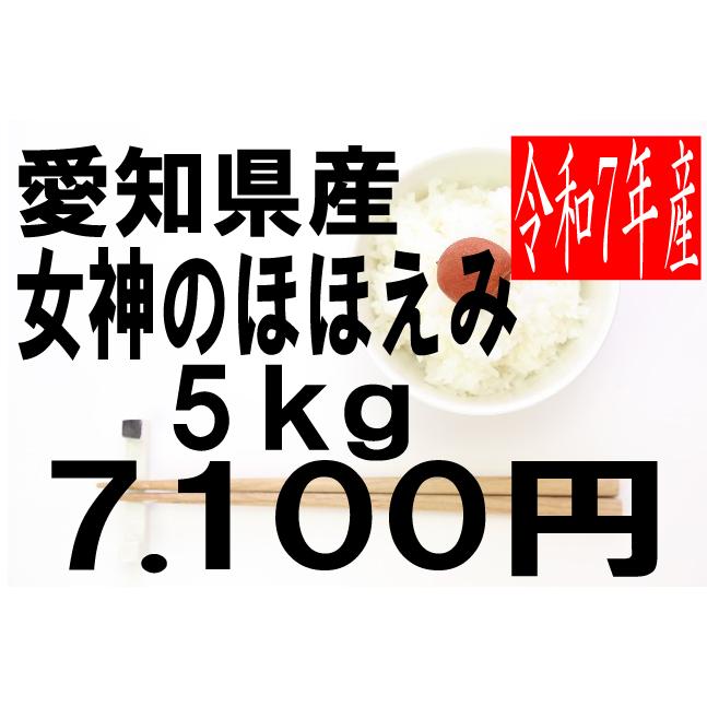 米 令和7年度産 愛知県豊橋産 女神のほほえみ 5kg : お米の米久 - 通販