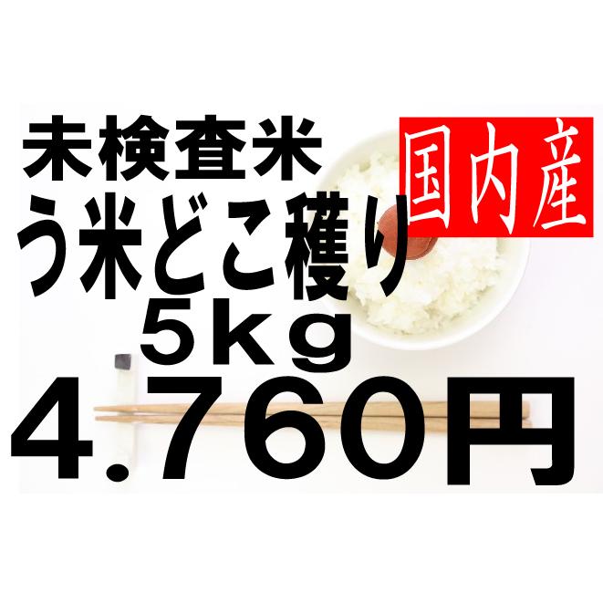 米 国内産米 未検査米(う米どこ穫り) 複数原料米 5kg : お米の米久