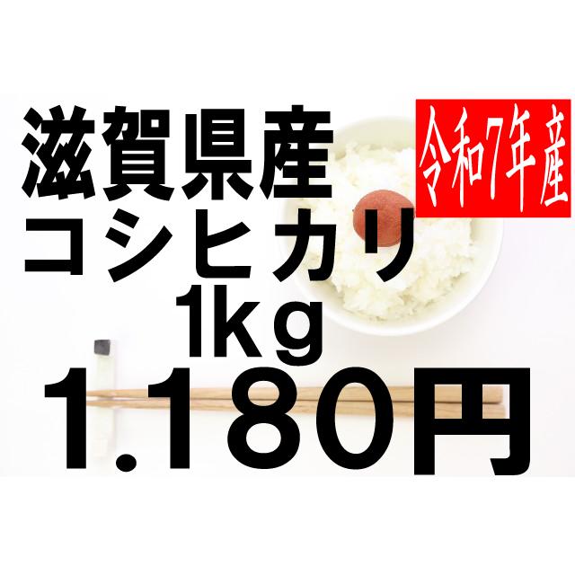 11358100_3
