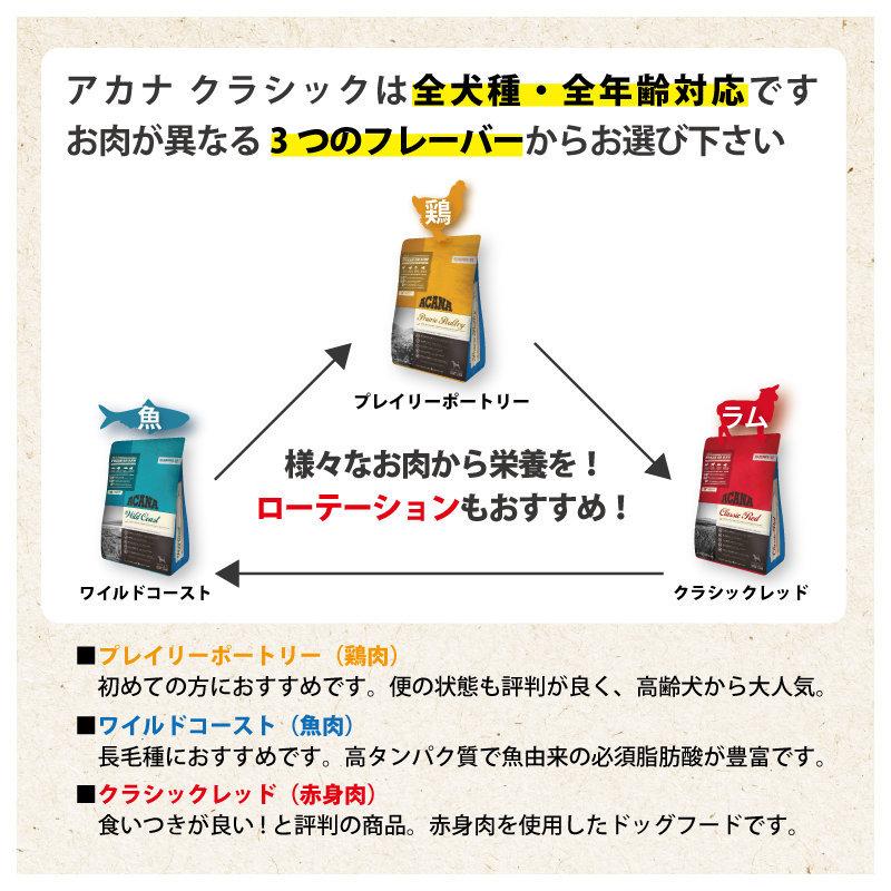 るために アカナ コメリドットコム 通販 Paypayモール クラシック ワイルドコースト 魚肉 犬用 ６ｋｇ しています Upis Unsa Ba