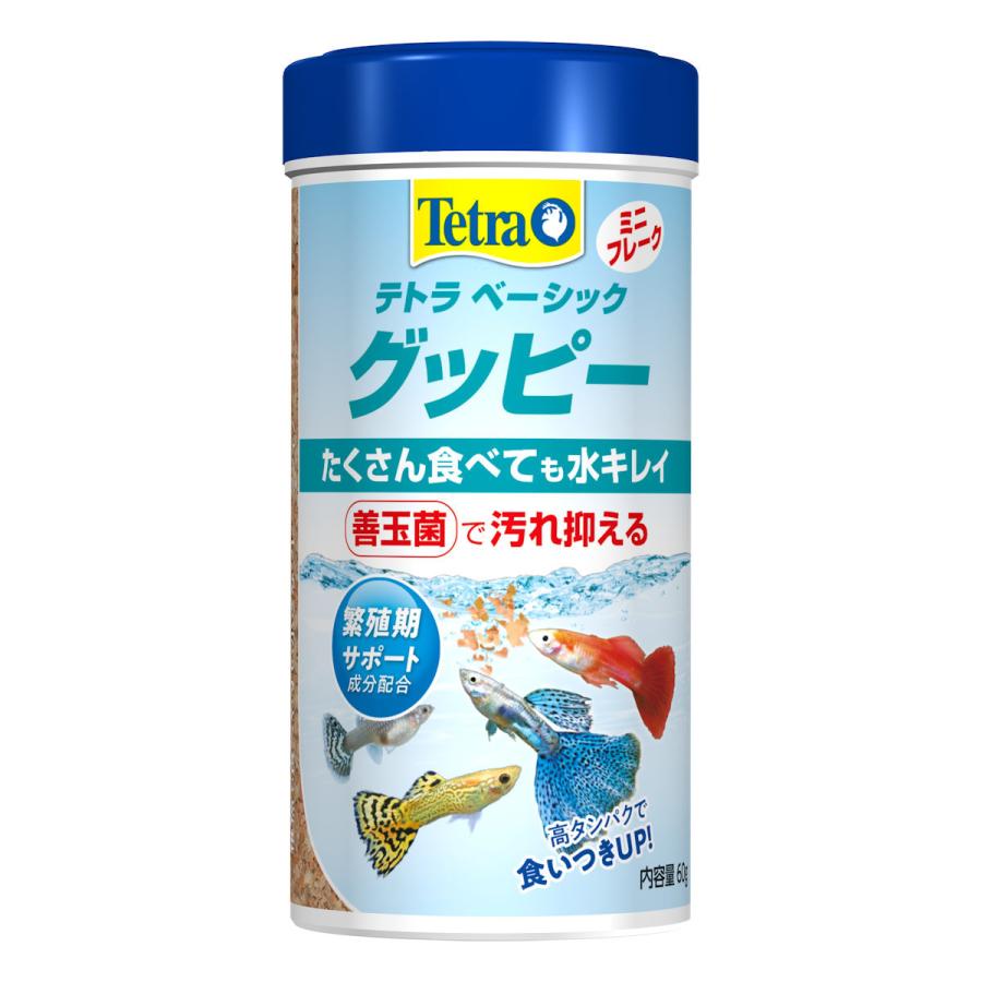 テトラ　ベーシック　グッピー　６０ｇ｜komeri