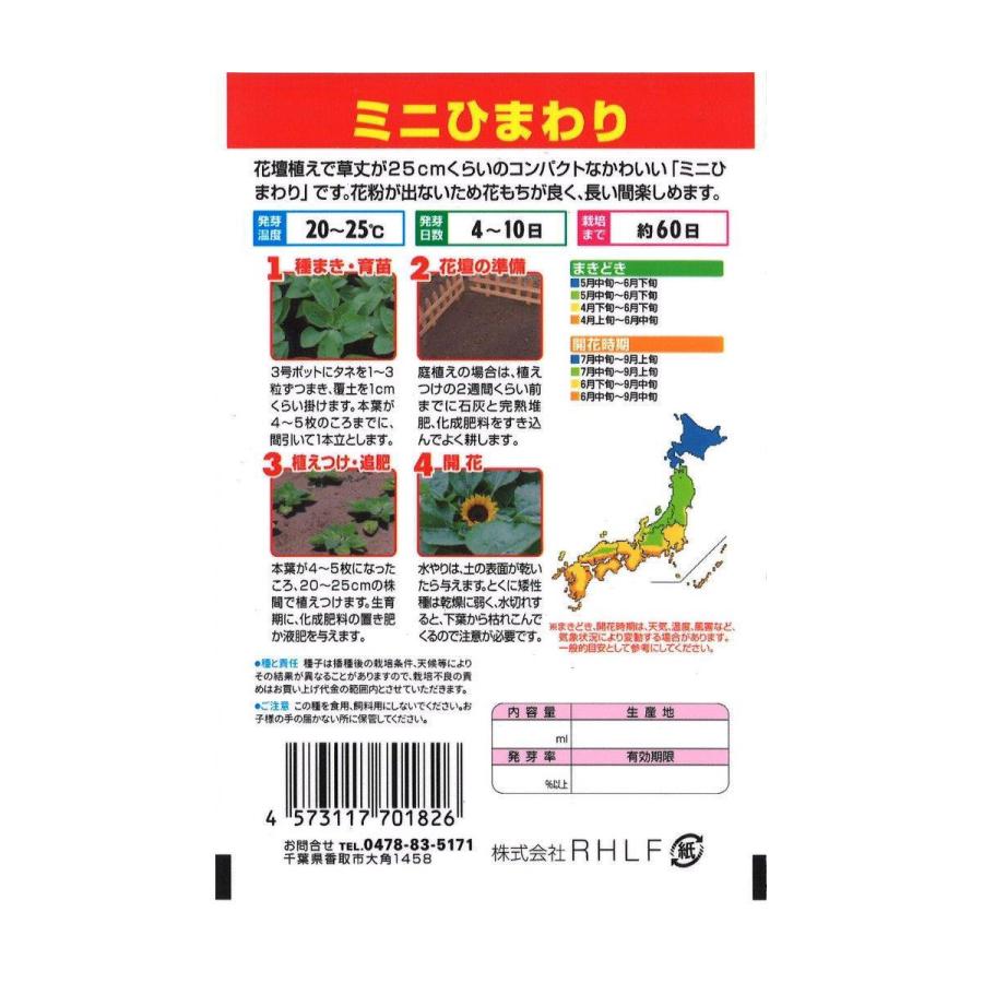 ミニひまわり 5個セット コメリドットコム 通販 Paypayモール