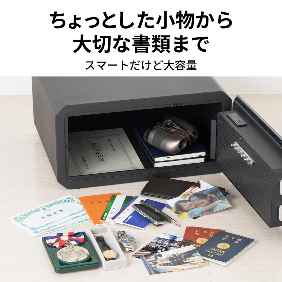 セントリー テンキー式指紋認証金庫 31L JEM23FP : コメリ