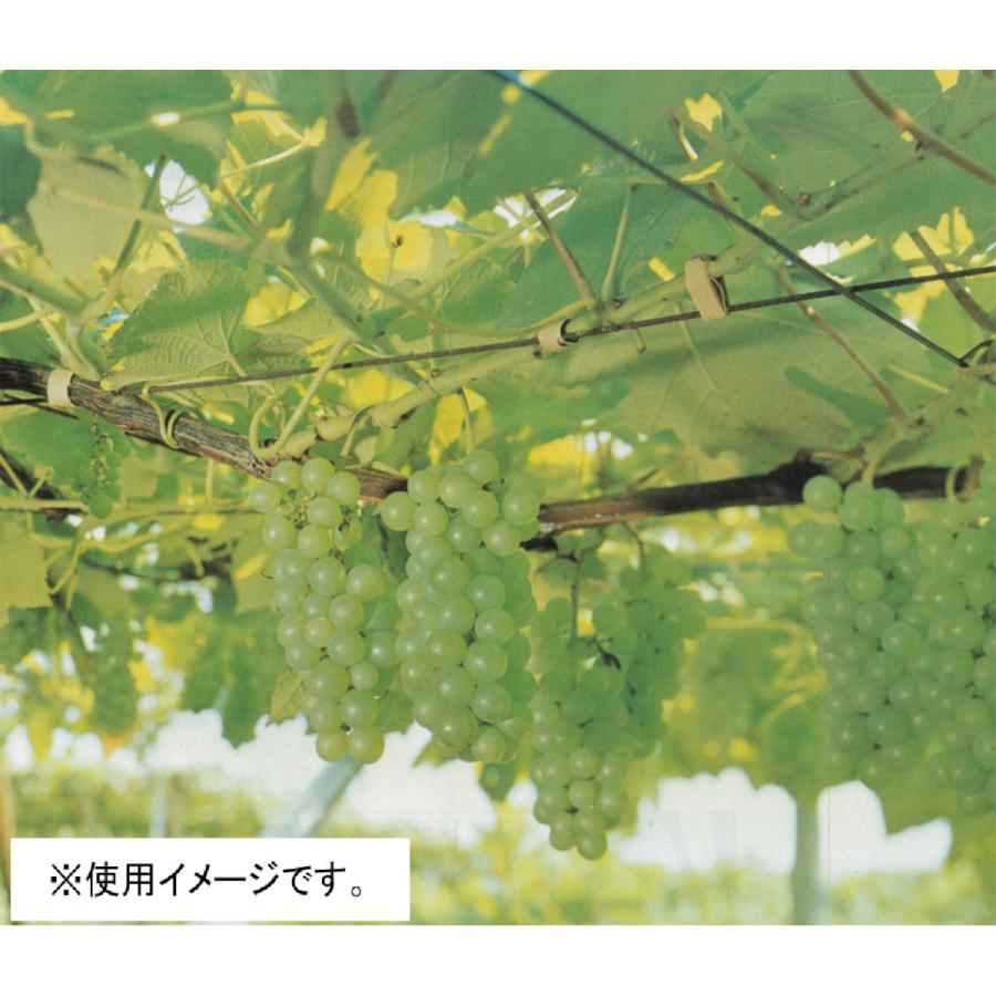 セキスイ エクセル線 ＃15 1．8mm×1000m : コメリドット