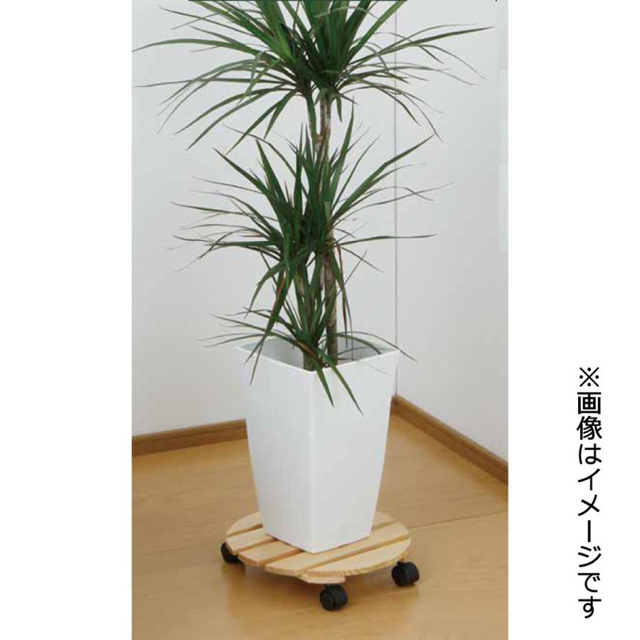 Breezy Green 木製鉢受プレート キャスター付き ナチュラル
