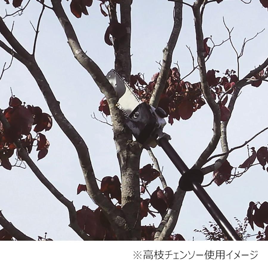 KALTIVA（カルティバ） 3WAYエンジン刈払機 EBC
