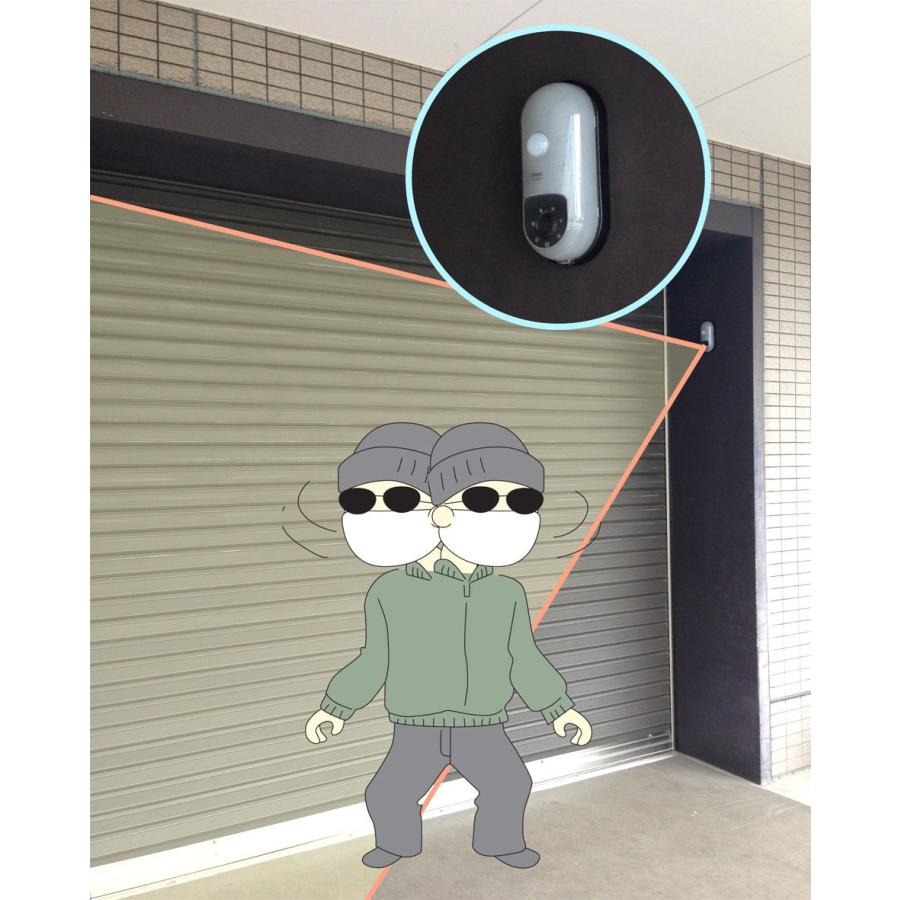 センサーカメラ　ＳＤ&minus;１０００