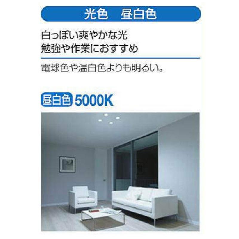大光 ダウンライト 昼白色 SK−206W 6個セット : コメリドット