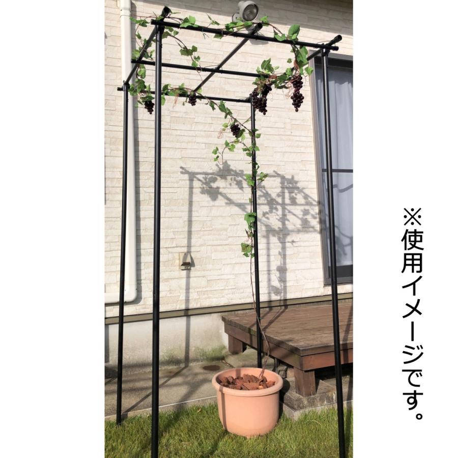 第一ビニール フルーツ棚 90×90×175cm 4個セット : コメリ