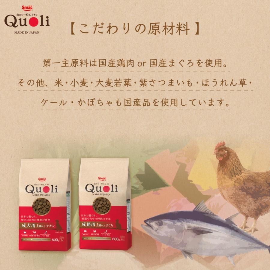 スマック キャットスマック にゃんズ満足 多頭飼い用 かつお味 6