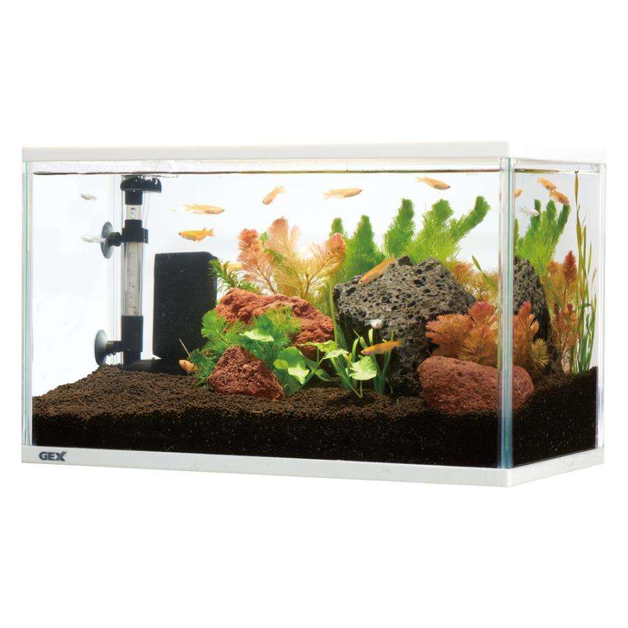 メダカ元気 メダカのための水槽セット400 : コメリドットコム