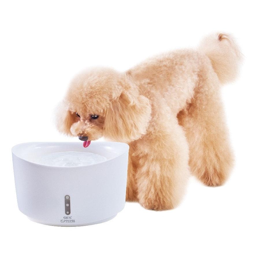 ピュアクリスタル 犬用 交換用フィルター キレイでおいしい水に 2個入 ジェックス7円 上等な