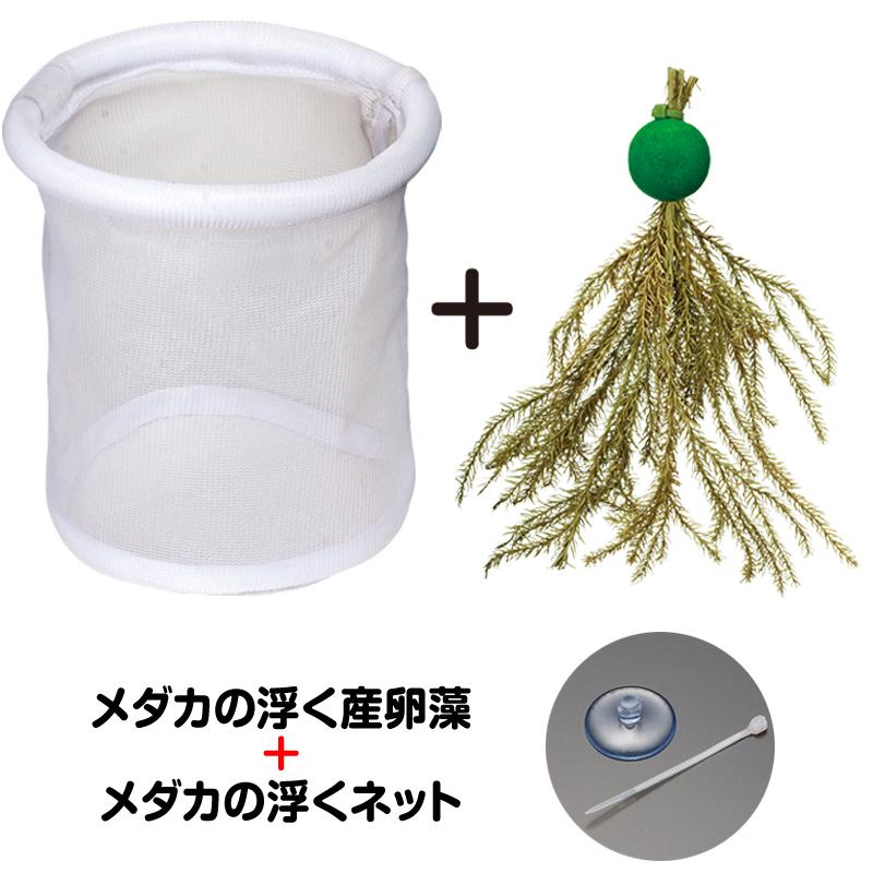絶妙なデザイン メダカの稚魚育成セット スドー 返品種別a Riosmauricio Com