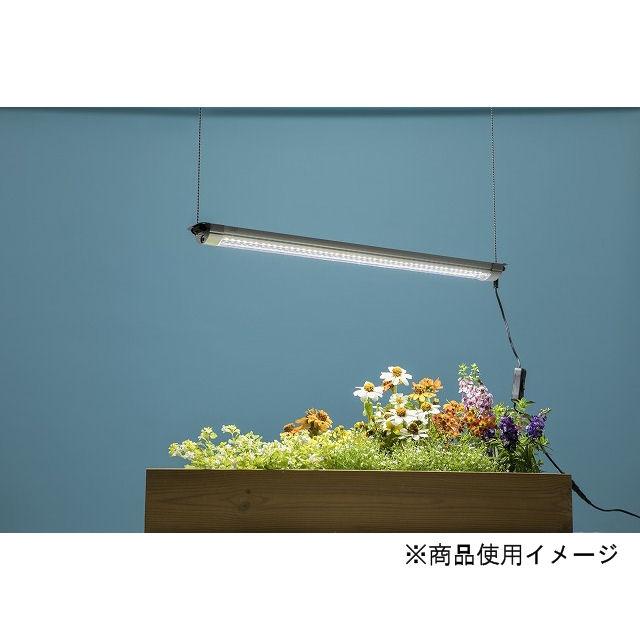 グローライト 通販 Paypayモール ５７ｃｍ コメリドットコム 特価日本製 Www Lake Lavon Com